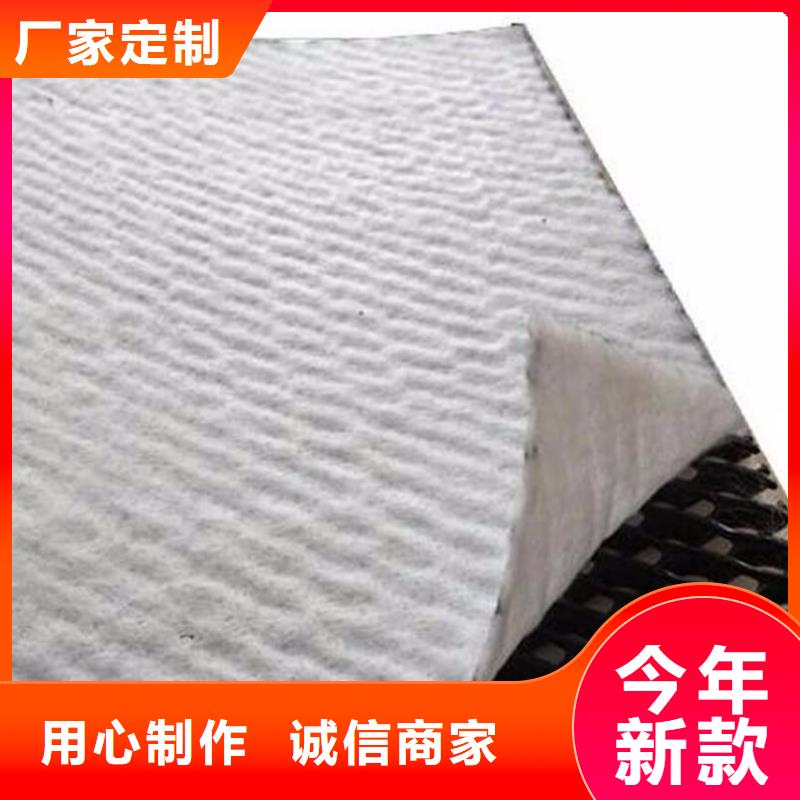 【三维复合排水网双向拉伸塑料格栅实拍品质保障】