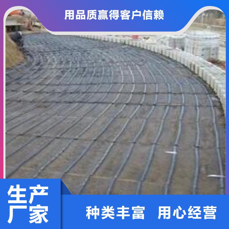 玻璃纤维土工格栅玻纤土工格栅品质过硬