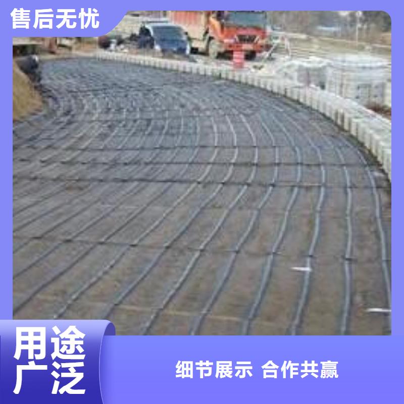 玻璃纤维土工格栅-加筋布大厂家实力看得见