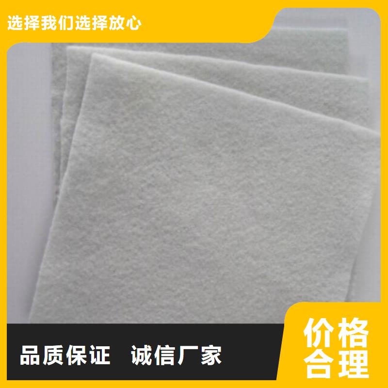 土工布三维土工网垫一站式厂家