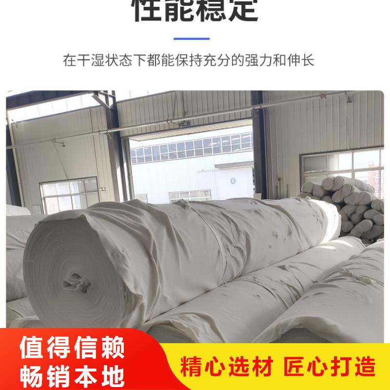 【 土工布塑料土工格栅厂家拥有先进的设备】当地品牌