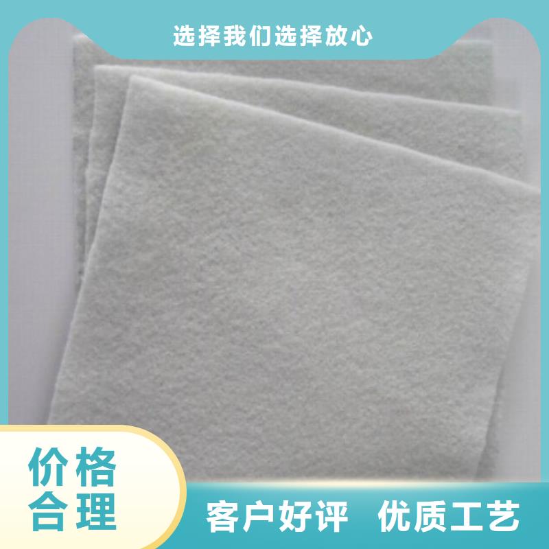 土工布双向塑料土工格栅品种全
