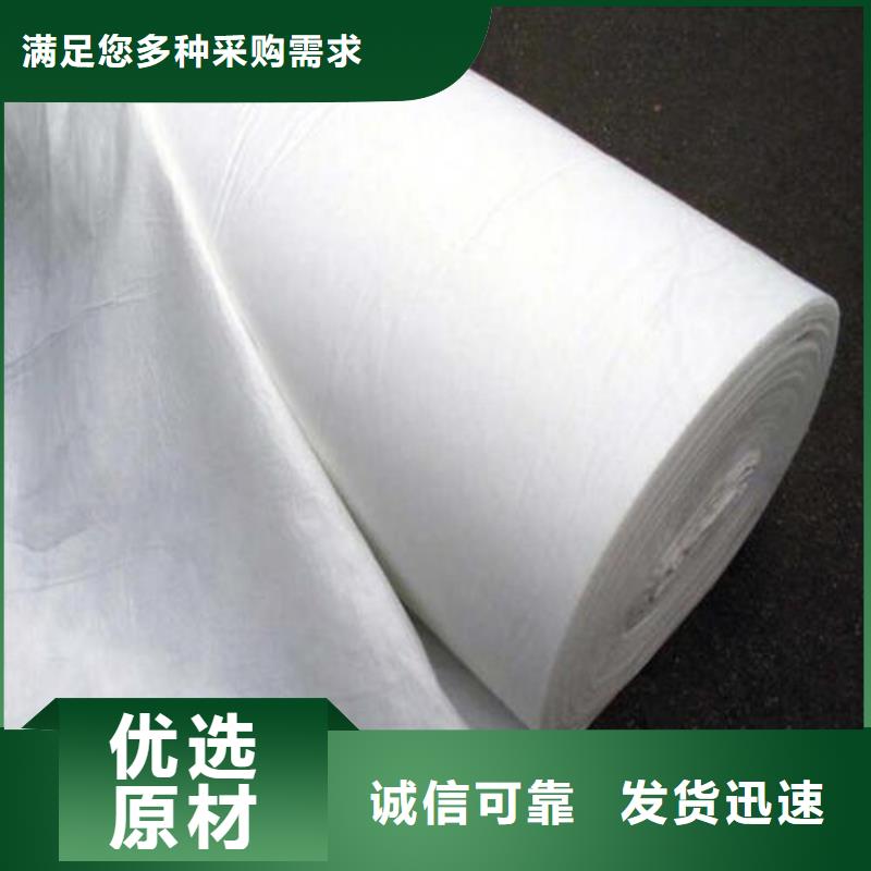 土工布双向塑料土工格栅品种全