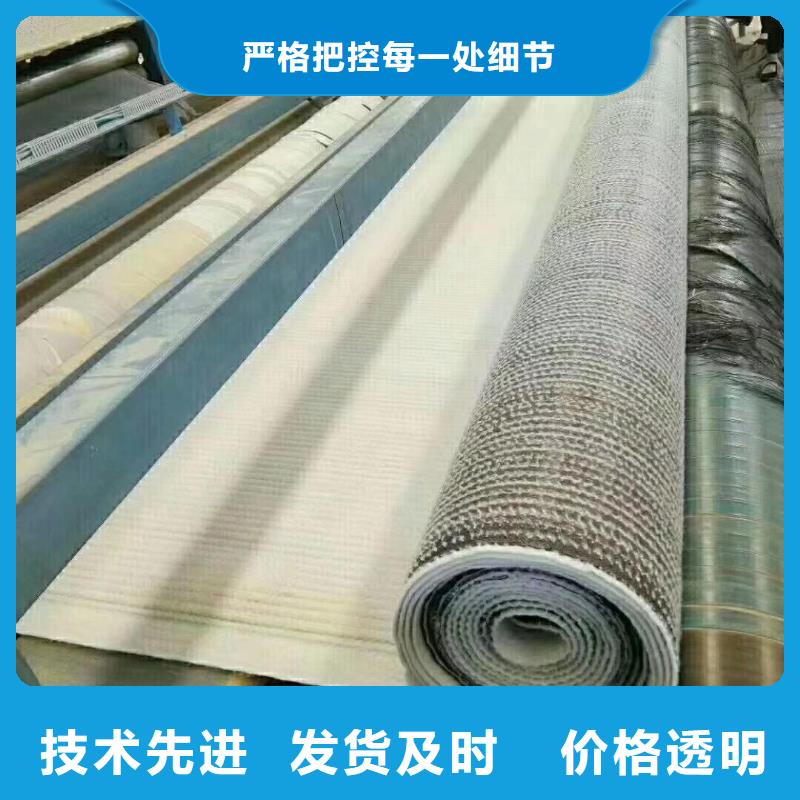 膨润土防水毯_涤纶土工格栅卓越品质保障