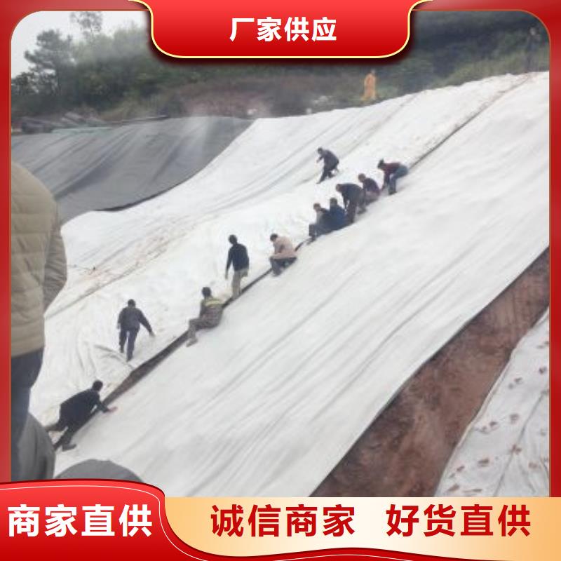 亿路通土工布【 膨润土防水毯 塑料土工格栅定制销售售后为一体】