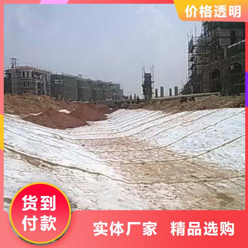 膨润土防水毯钢塑土工格栅支持货到付清