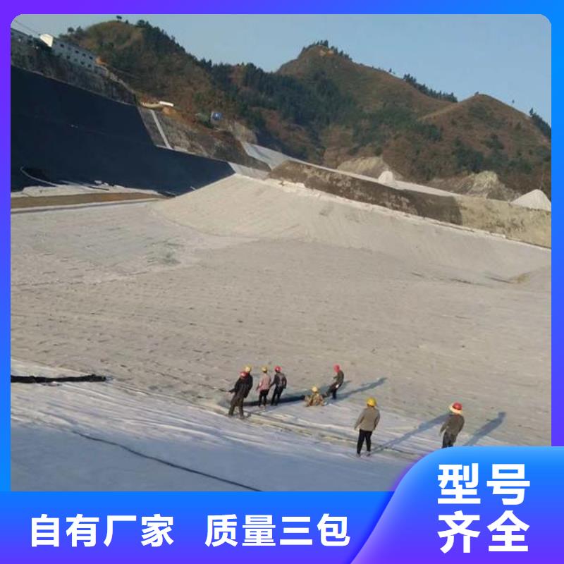 膨润土防水毯单向塑料土工格栅厂家经验丰富