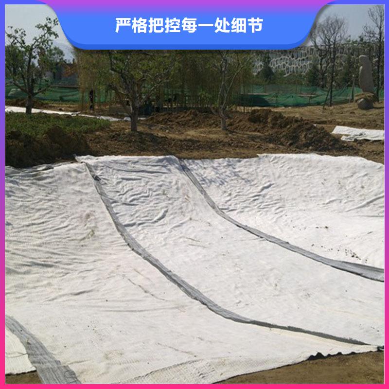 膨润土防水毯单向塑料土工格栅工厂自营