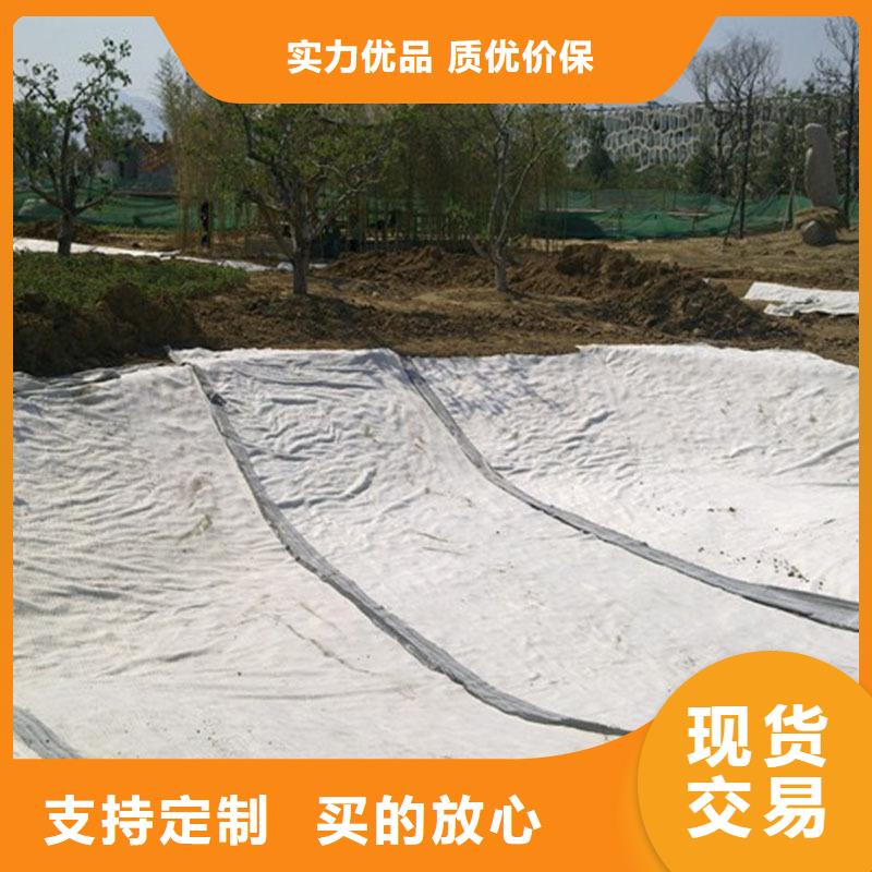 膨润土防水毯_涤纶土工格栅卓越品质保障