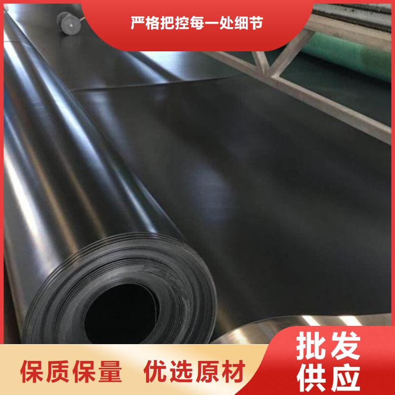 土工膜单向塑料土工格栅常年供应