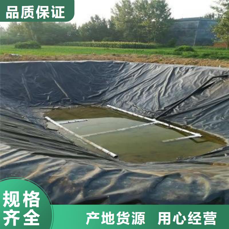 土工膜塑料土工格栅支持大批量采购