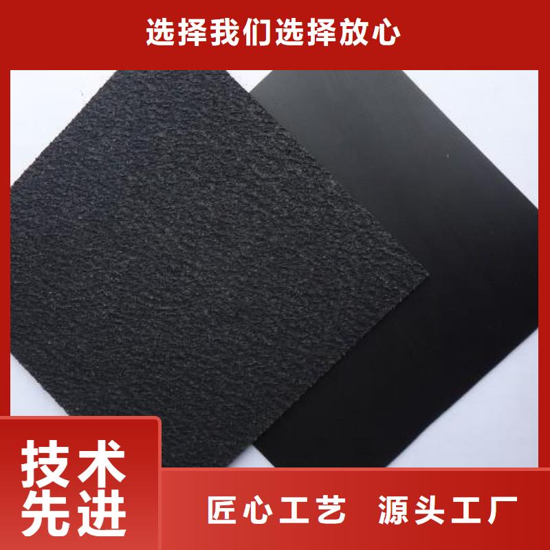 土工膜单向塑料土工格栅常年供应