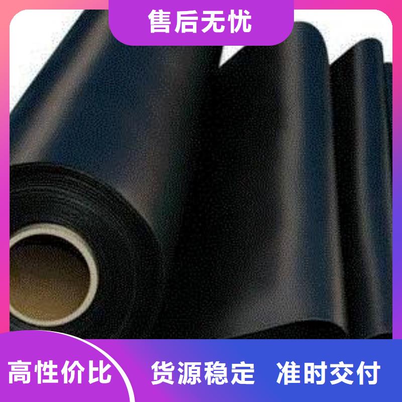 土工膜塑料土工格栅支持大批量采购