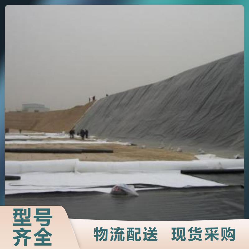 【土工膜】土工席垫高品质现货销售