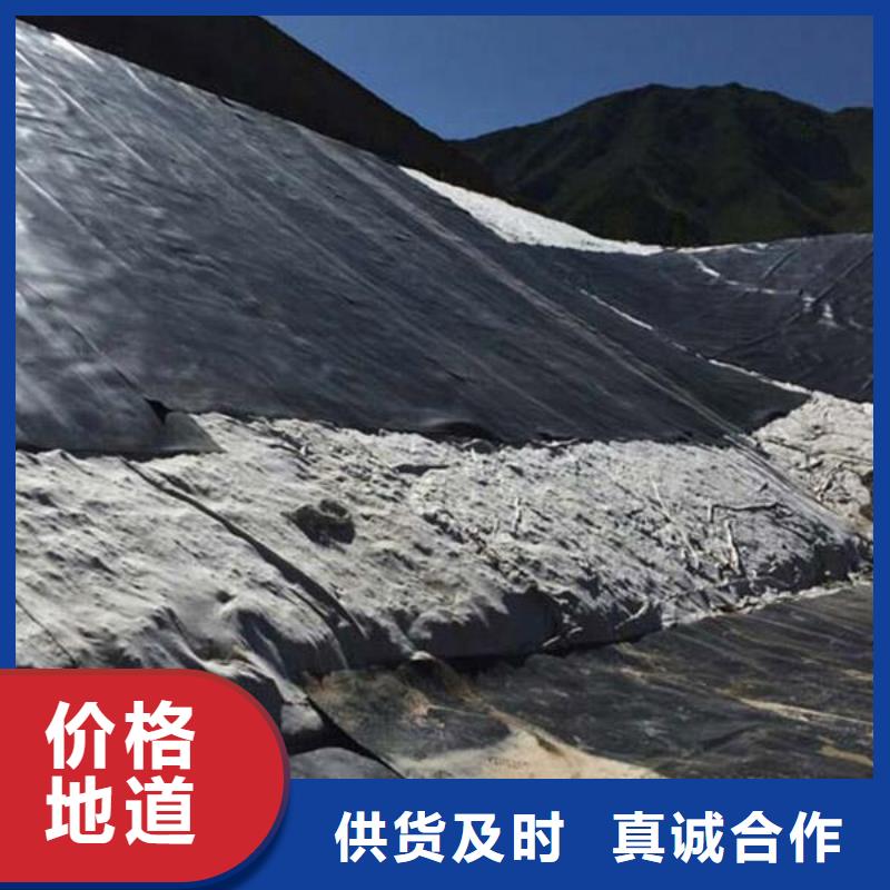 土工膜塑料土工格栅支持大批量采购