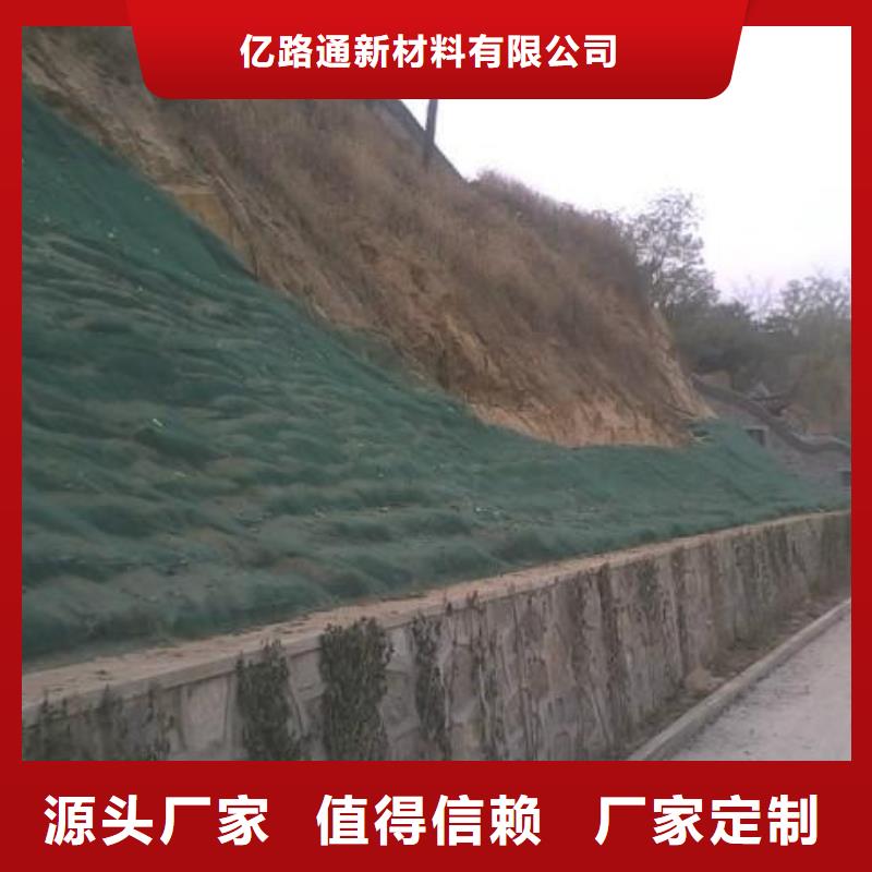 【 三维植被网 双向土工格栅适用场景】亿路通土工布