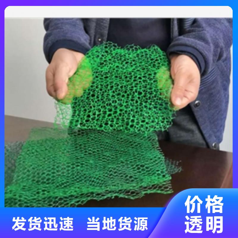 三维植被网【复合土工膜】买的放心安兴用的舒心