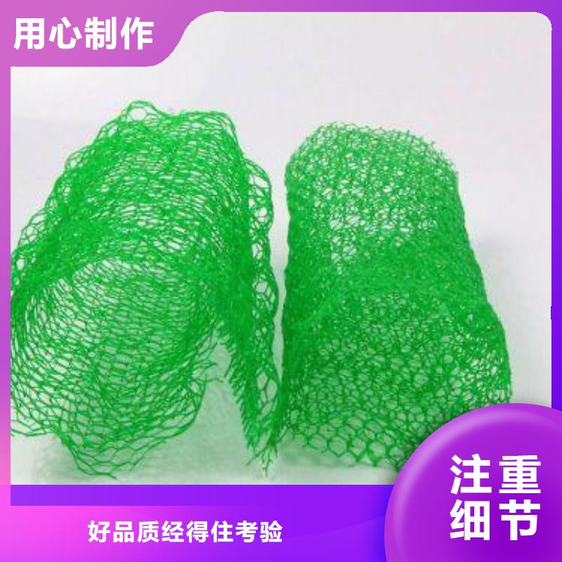 【三维植被网】塑料土工格栅欢迎来厂考察