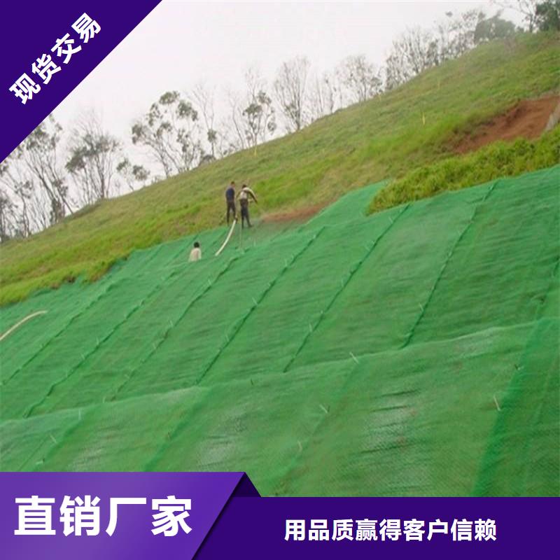三维植被网,加筋布实时报价