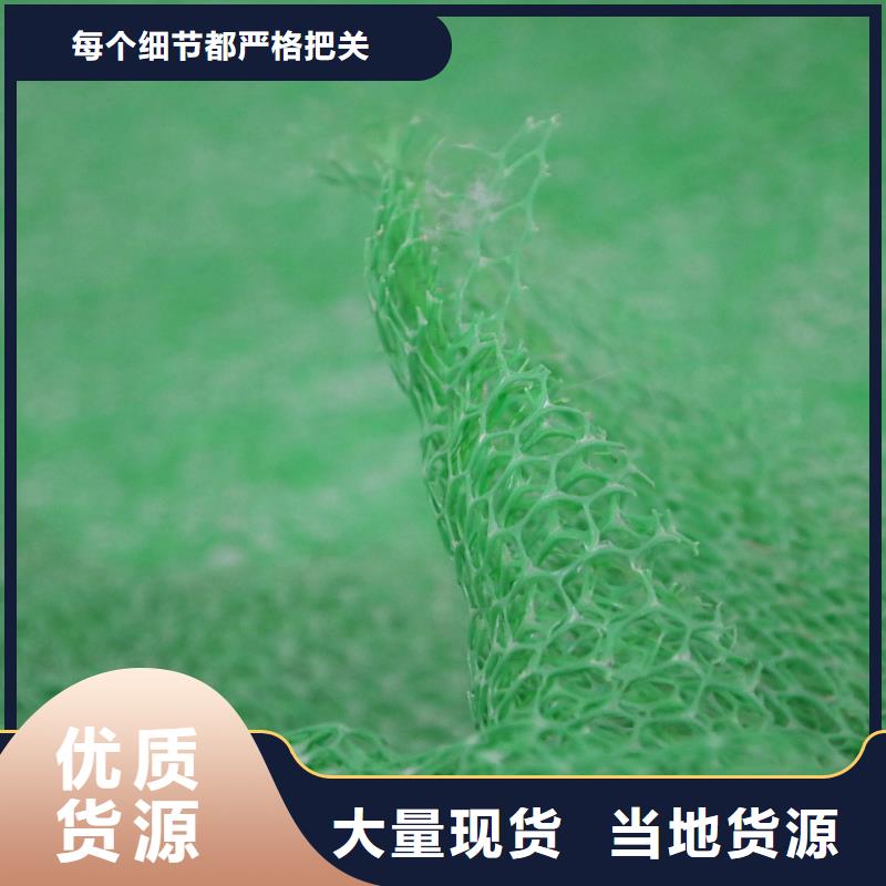 三维植被网_垃圾填埋场材料专业按需定制