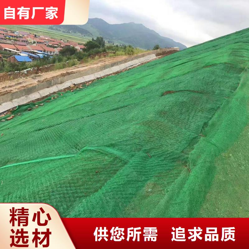 【 三维植被网 双向土工格栅适用场景】亿路通土工布