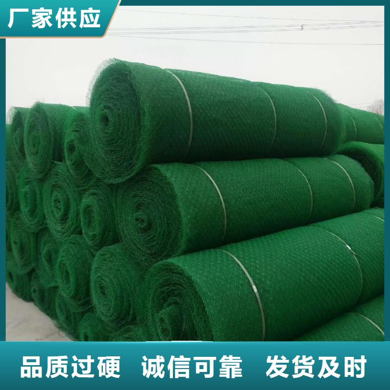 【 三维植被网 双向土工格栅适用场景】亿路通土工布