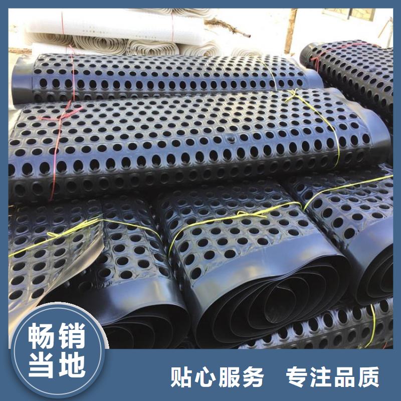 塑料排水板护坡土工网精心打造