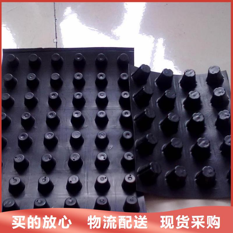 【塑料排水板_复合土工膜产地采购】