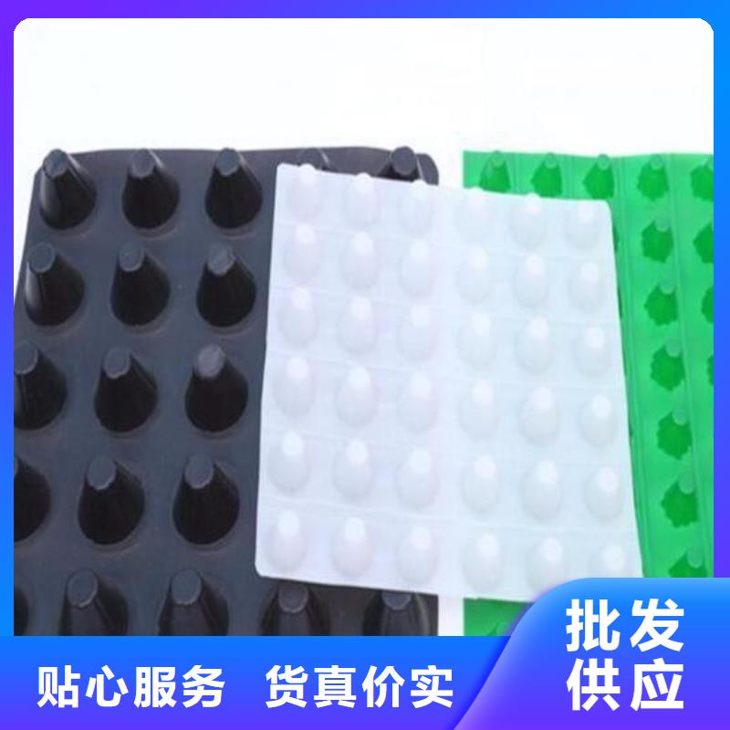 塑料排水板护坡土工网厂家直营