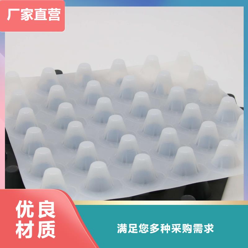 塑料排水板塑料盲沟源头采购