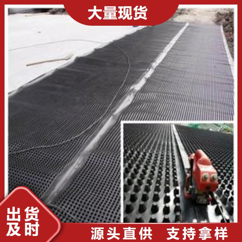 塑料排水板三维土工网垫实拍展现