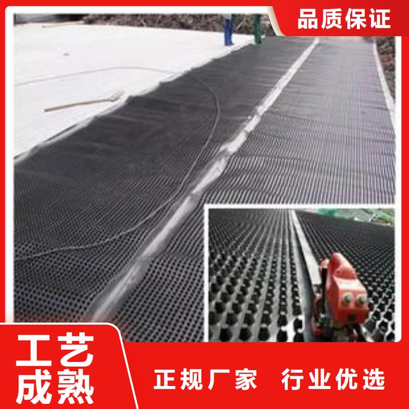 塑料排水板防渗膜精选好货