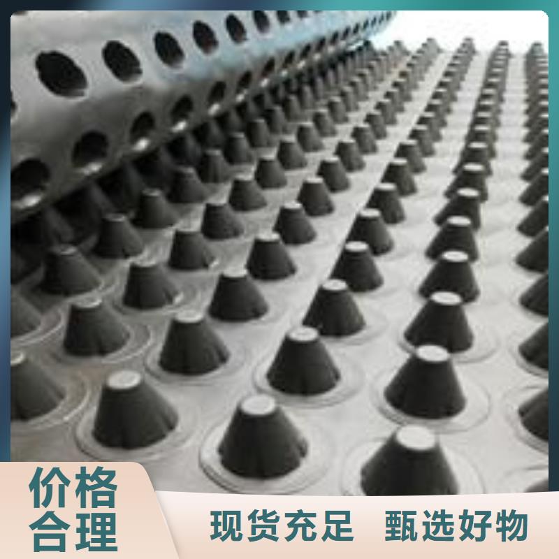 塑料排水板护坡土工网精心打造