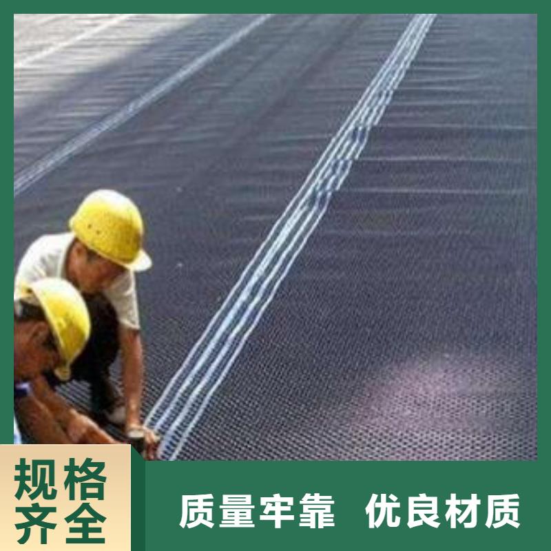 塑料排水板_护坡土工网规格齐全