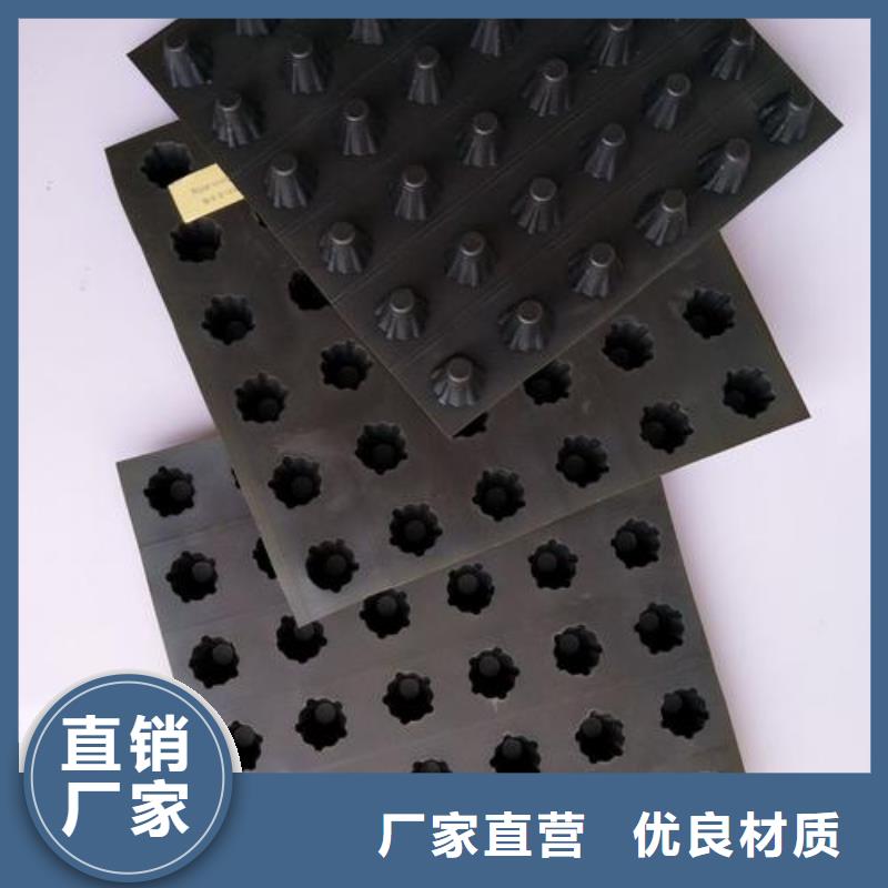 塑料排水板护坡土工网精心打造