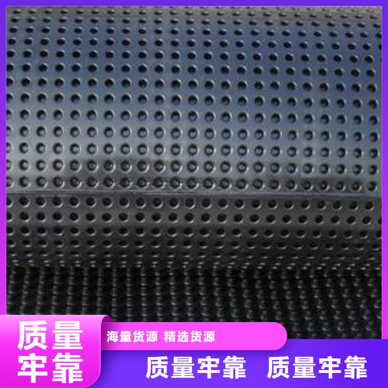 塑料排水板三维土工网垫实拍展现