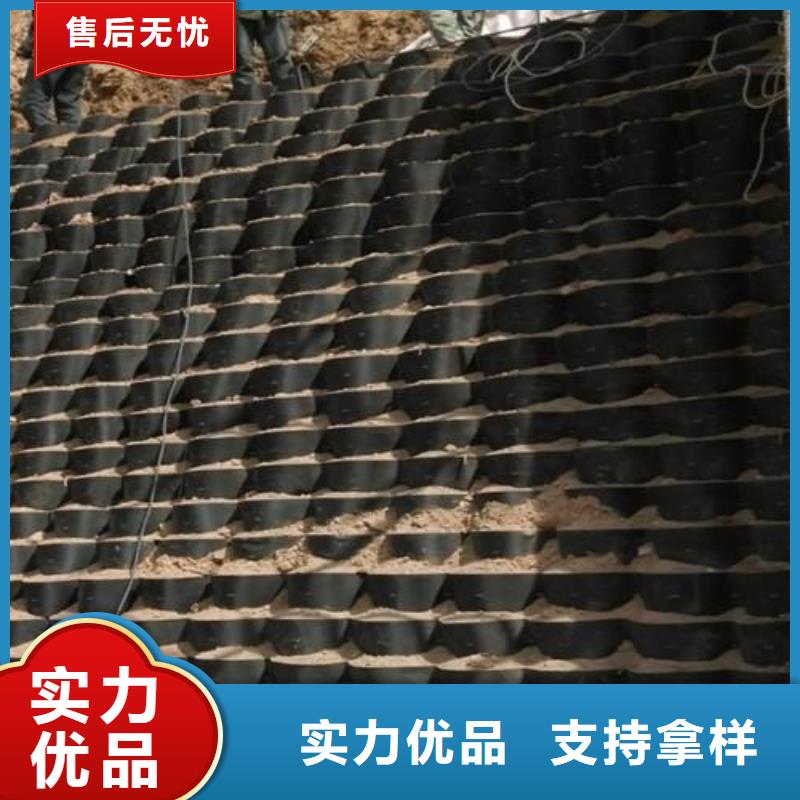 土工格室复合土工膜发货迅速