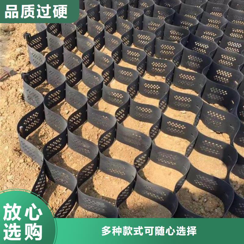 土工格室涤纶土工格栅品质信得过