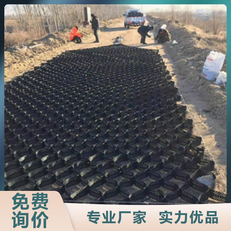 土工格室复合土工膜发货迅速