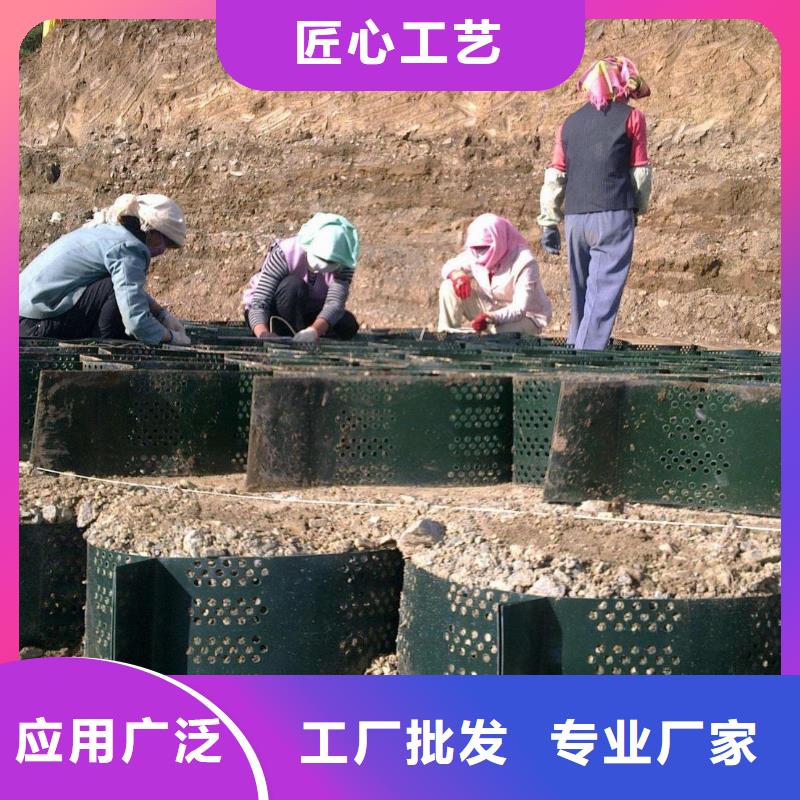 土工格室复合土工膜发货迅速