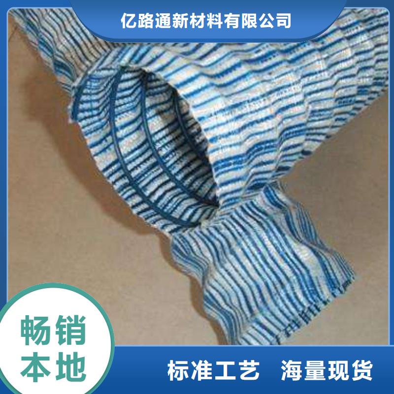 软式透水管-三维土工网垫实地大厂