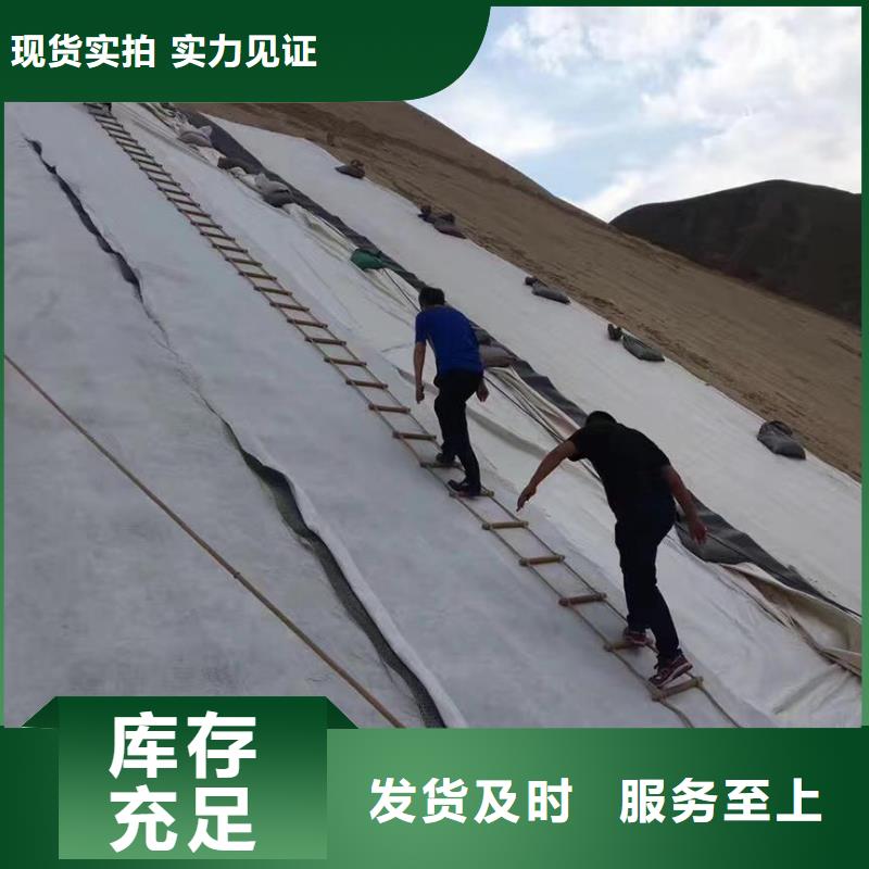 三维复合排水网工程布定金锁价