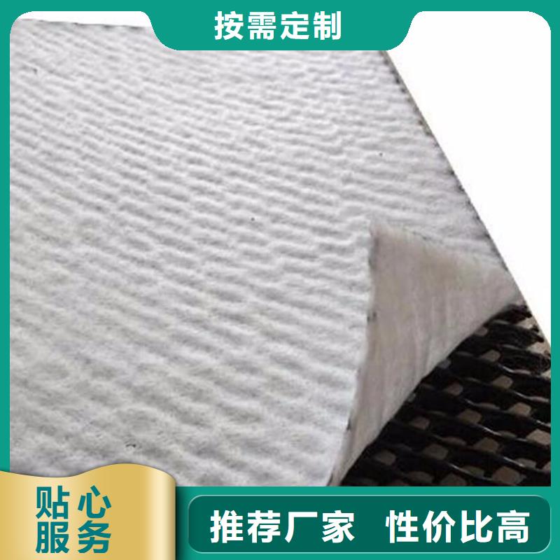 三维复合排水网,凸结点钢塑土工格栅出厂严格质检