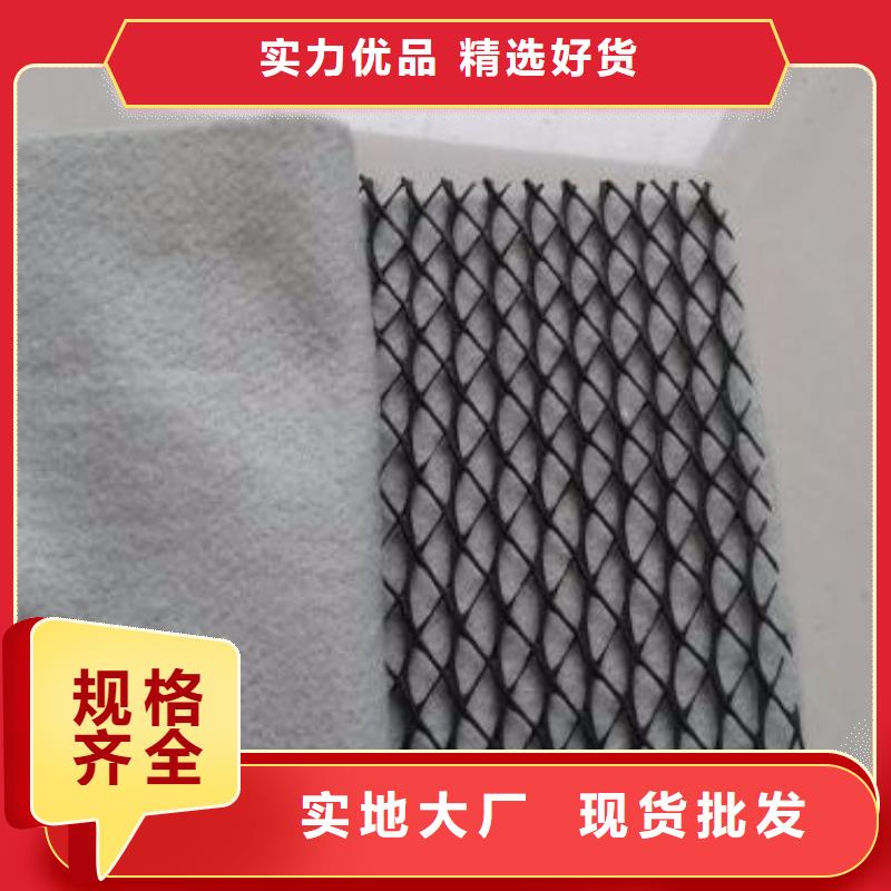 三维复合排水网-【反滤土工布】免费寄样-亿路通新材料(平凉市分公司)