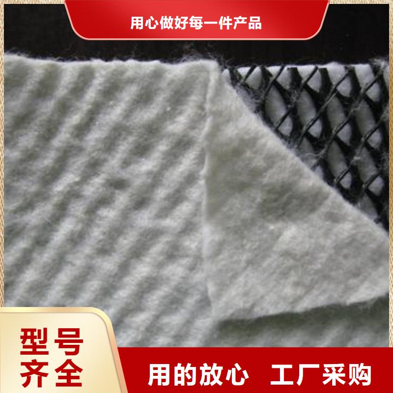 三维复合排水网防渗膜欢迎来电询价