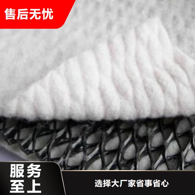 三维复合排水网,凸结点钢塑土工格栅出厂严格质检