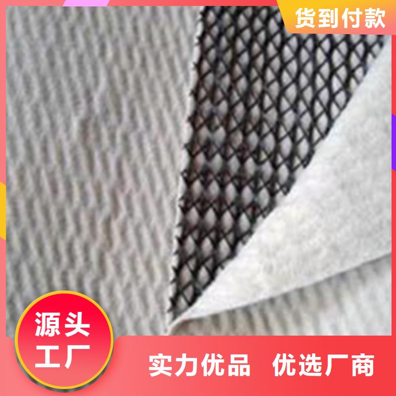 三维复合排水网三维土工网垫优良材质