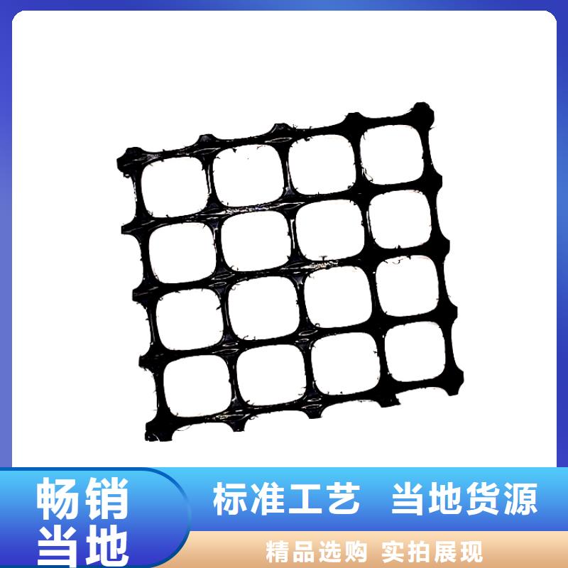 塑料土工格栅双向塑料土工格栅实力厂家直销