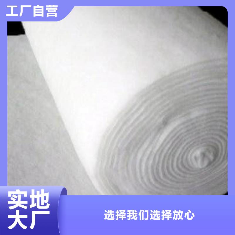 土工布涤纶土工格栅订制批发