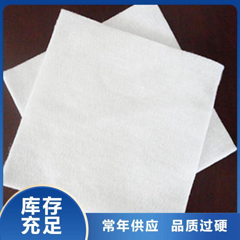 土工布凸结点钢塑土工格栅一周内发货